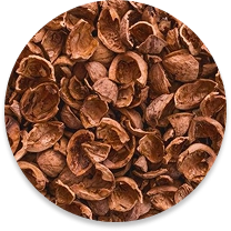 Ceviz Kabuğu