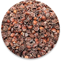 Fındık Kabuğu