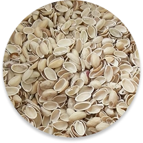 Fıstık Kabuğu
