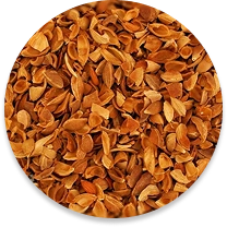 Kayısı Çekirdeği Kabuğu
