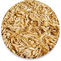 Pirinç Kabuğu