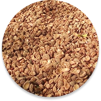 Şeftali Çekirdeği Kabuğu
